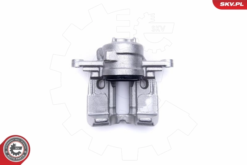 Brake Caliper 55SKV721