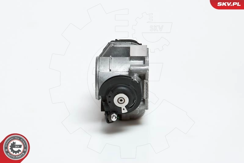 Throttle Body 12SKV023