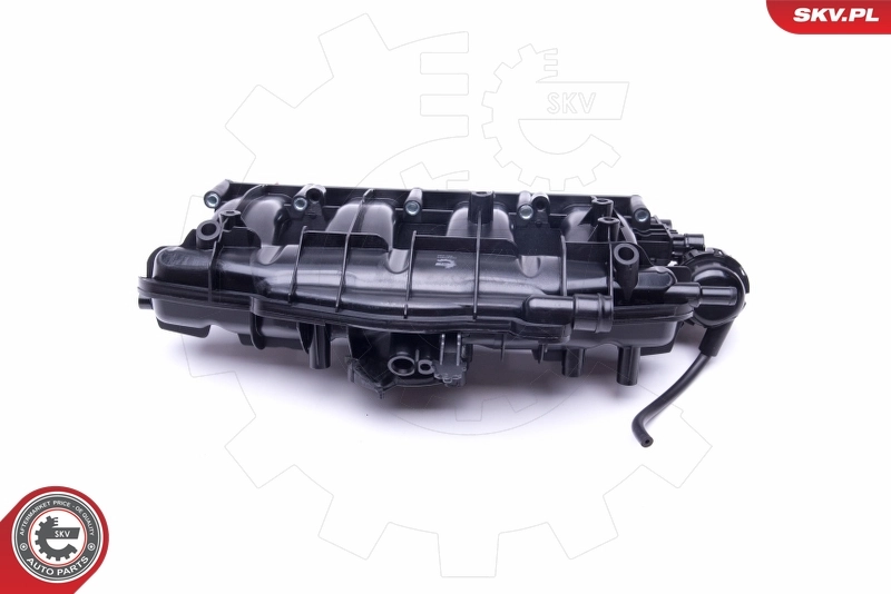 Intake Manifold Module 49SKV003