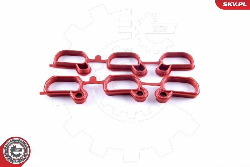 ESEN SKV 49SKV651 Repair Kit, intake manifold module