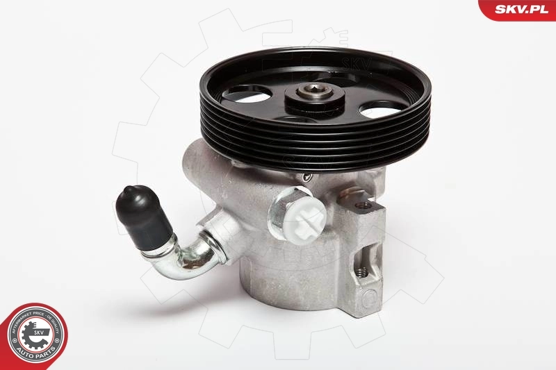 Hydraulic Pump, steering 10SKV062