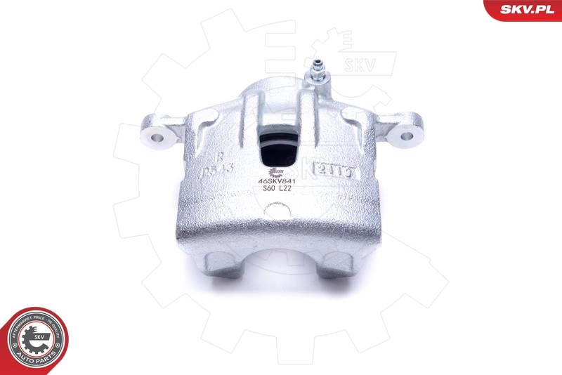 Brake Caliper 46SKV841