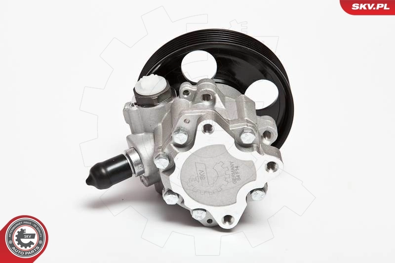 Hydraulic Pump, steering 10SKV023