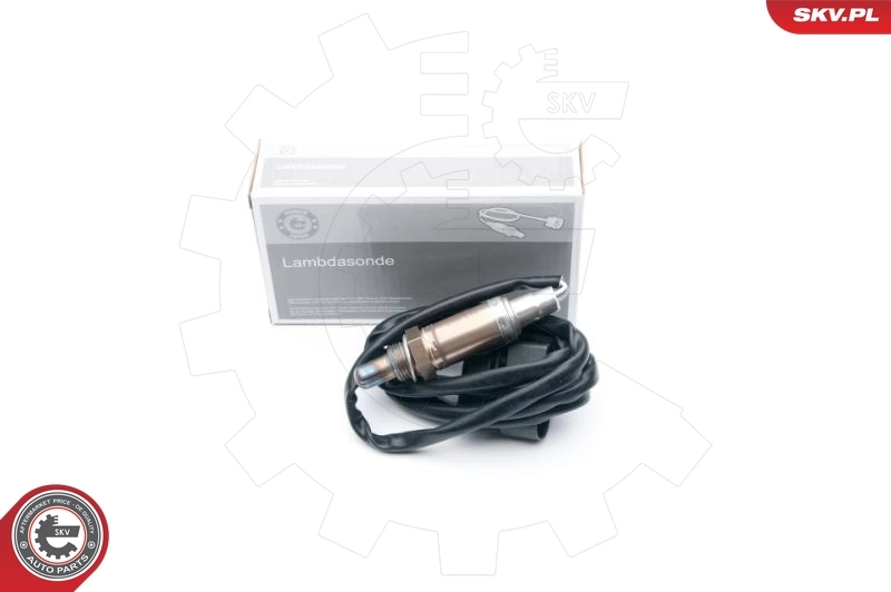 Oxygen Sensor 09SKV613