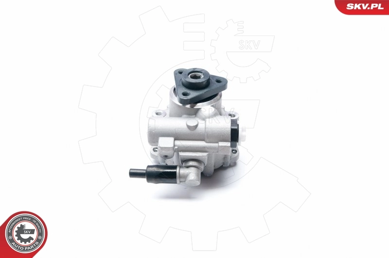 Hydraulic Pump, steering 10SKV224