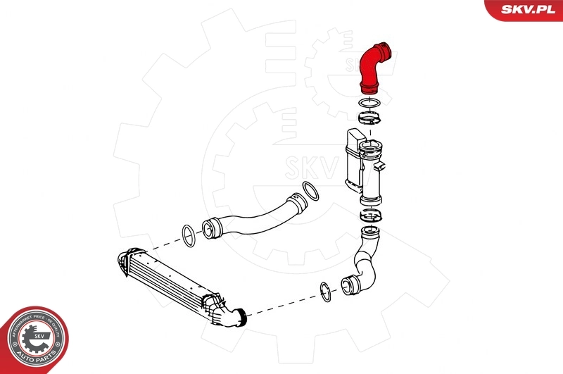 Charge Air Hose 24SKV637