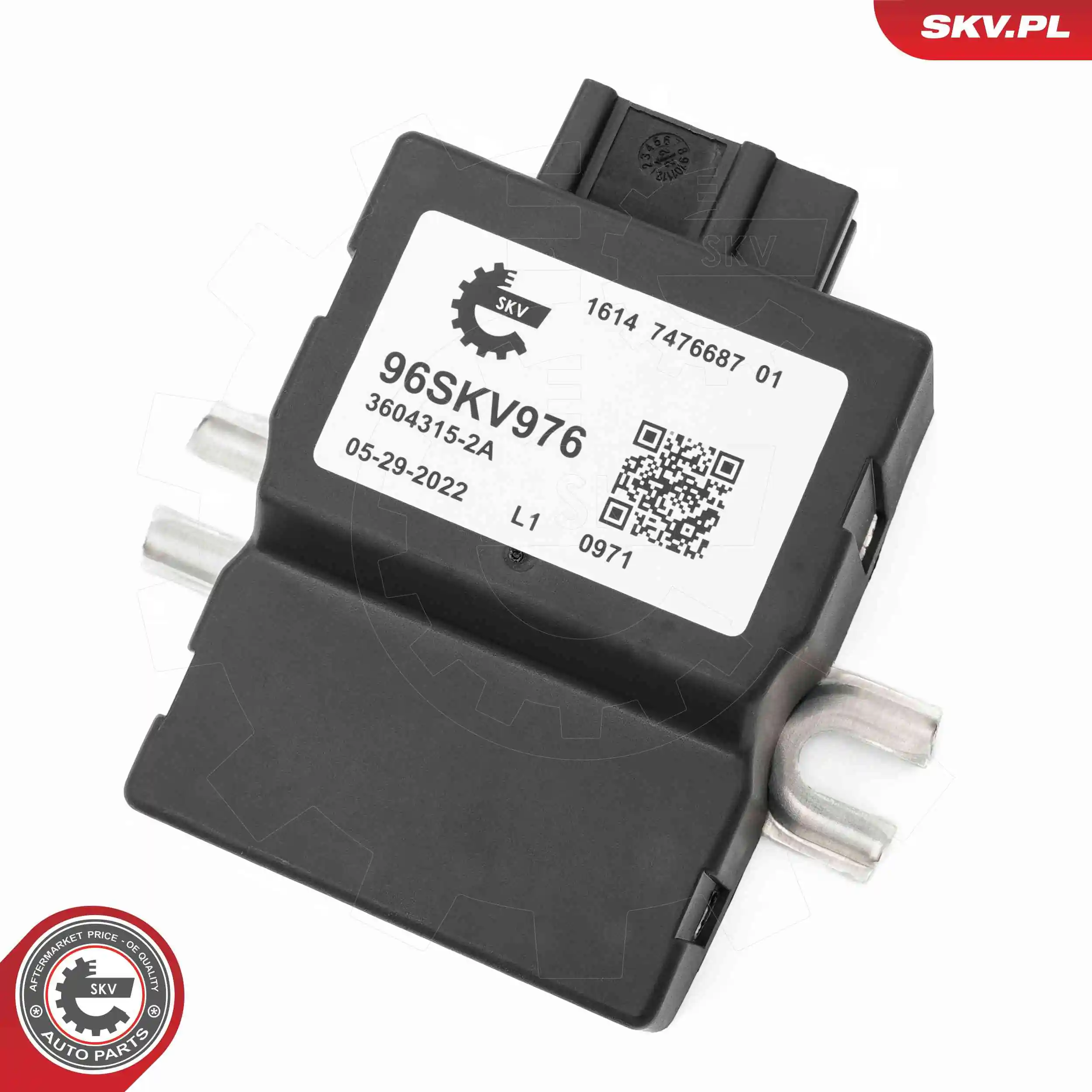 ESEN SKV 96SKV976 Control Unit, fuel pump
