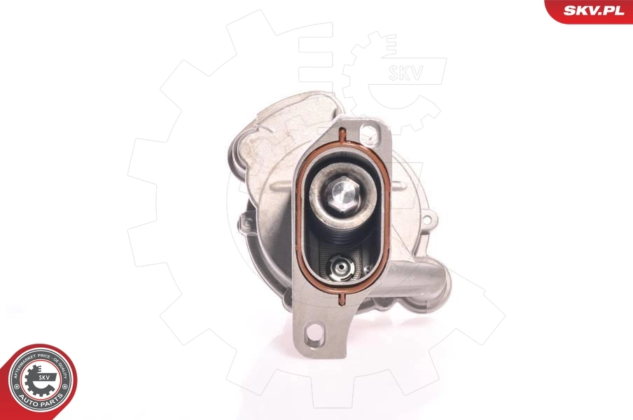 Vacuum Pump, braking system 18SKV006
