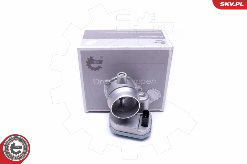 Throttle Body 12SKV094