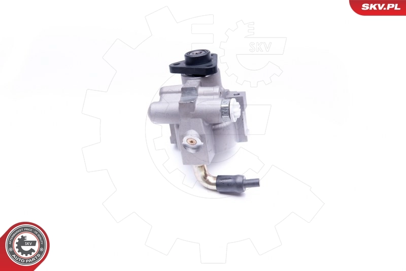 Hydraulic Pump, steering 10SKV278