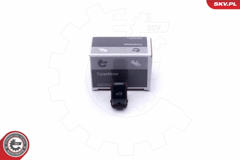 Switch, tailgate release 16SKV255