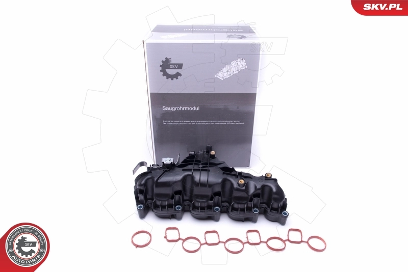 Intake Manifold Module 49SKV047