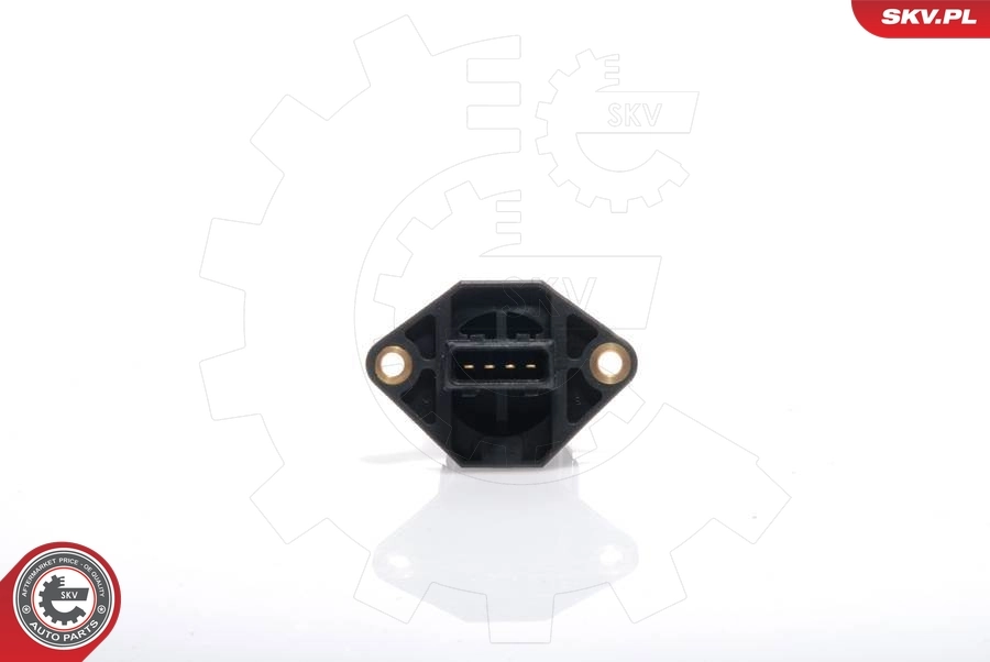 Mass Air Flow Sensor 07SKV002