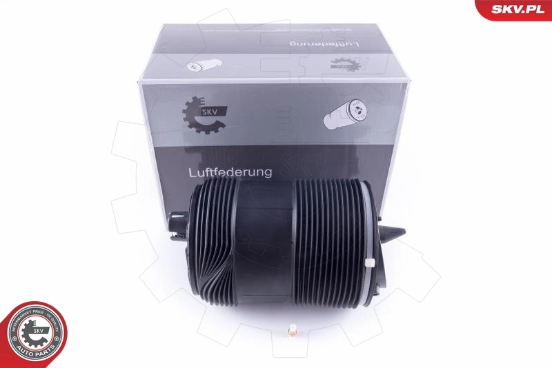 Air Spring, suspension 58SKV033