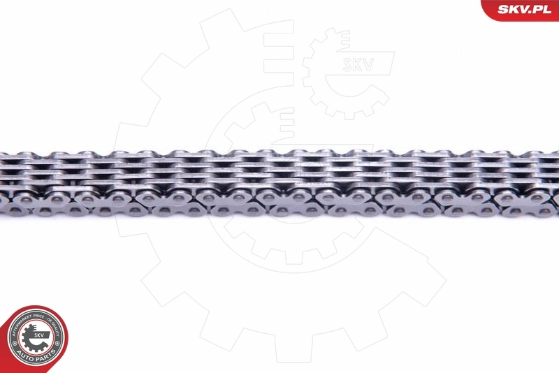 Timing Chain Kit 21SKV151