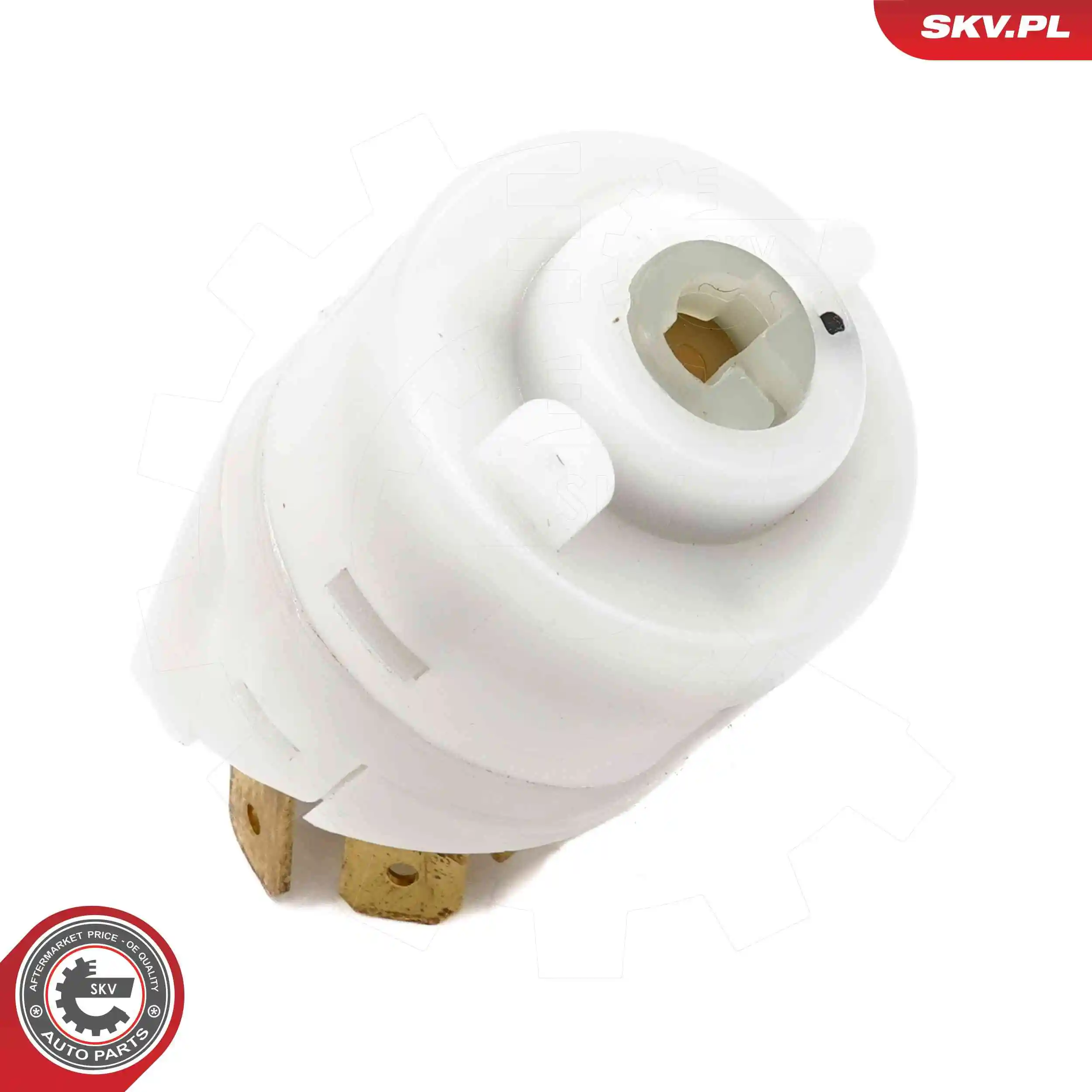 ESEN SKV 65SKV020 Ignition Switch