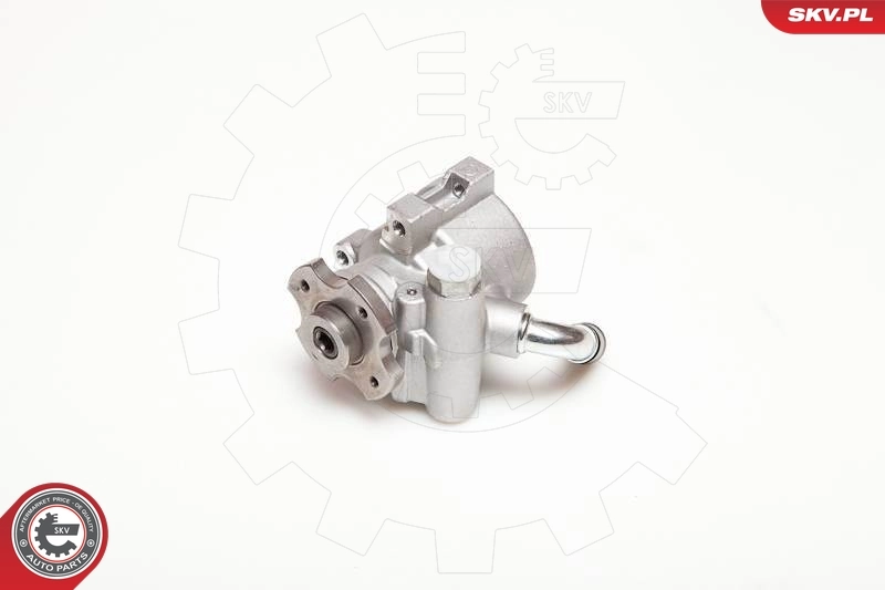 Hydraulic Pump, steering 10SKV096