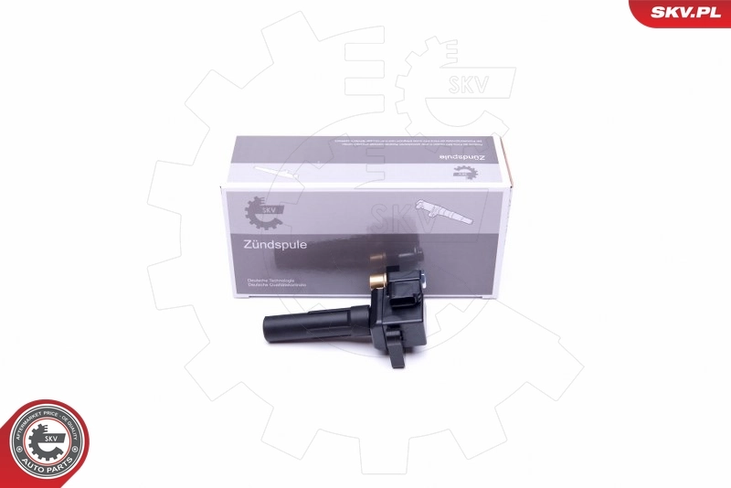 Ignition Coil 03SKV339