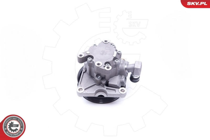 Hydraulic Pump, steering 10SKV192