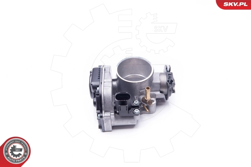 Throttle Body 12SKV035