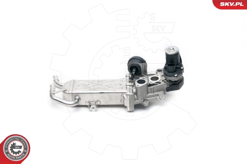 EGR Valve 14SKV096