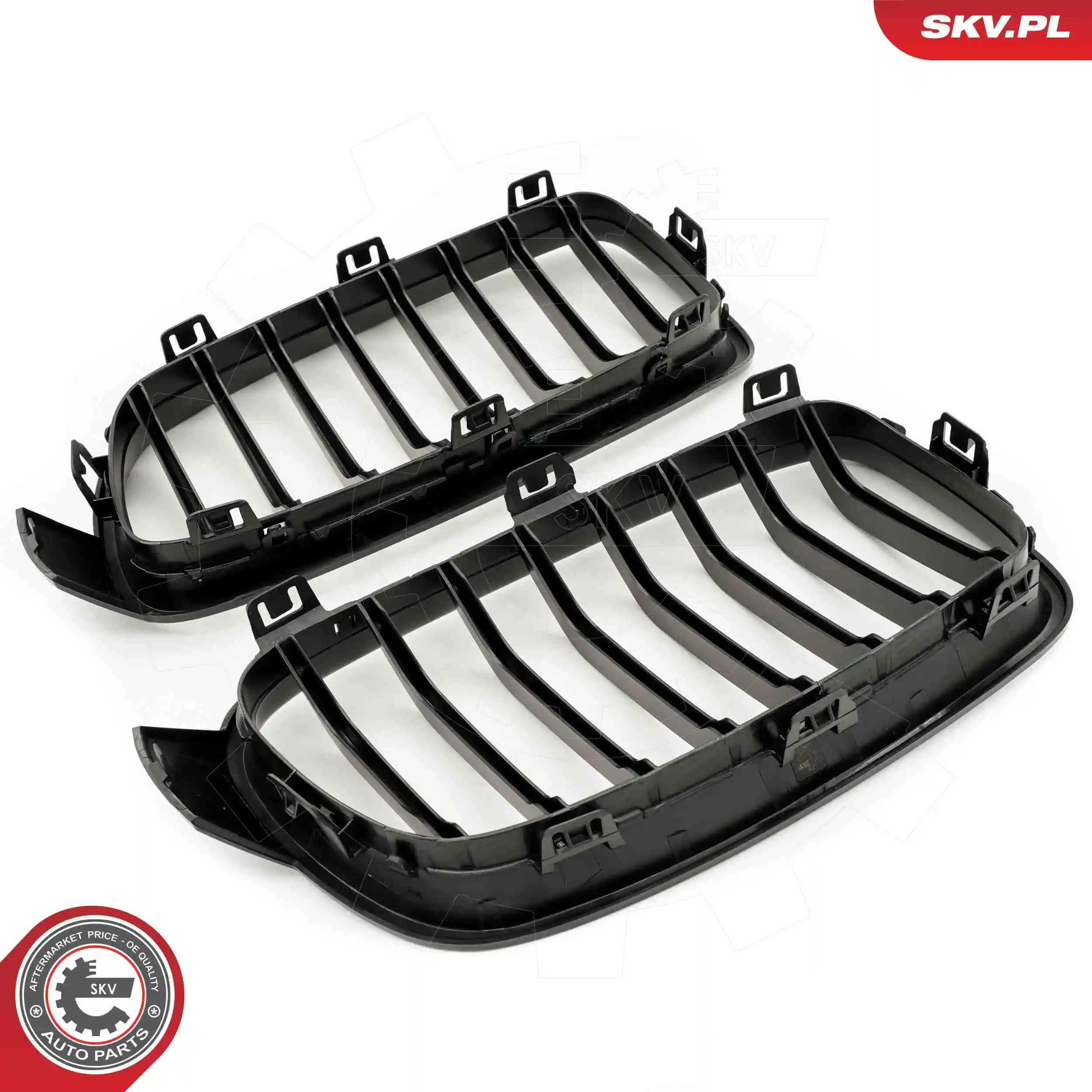 Radiator Grille 66SKV121