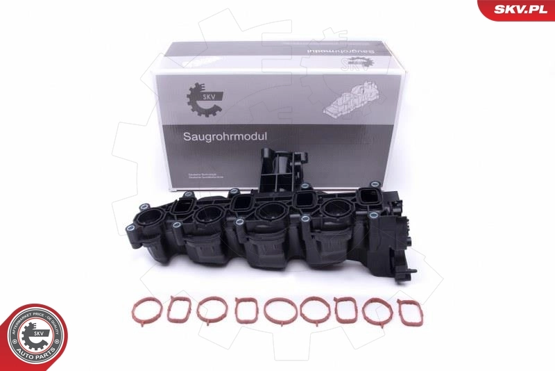 Intake Manifold Module 49SKV040