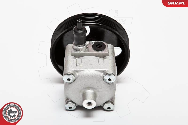 Hydraulic Pump, steering 10SKV033