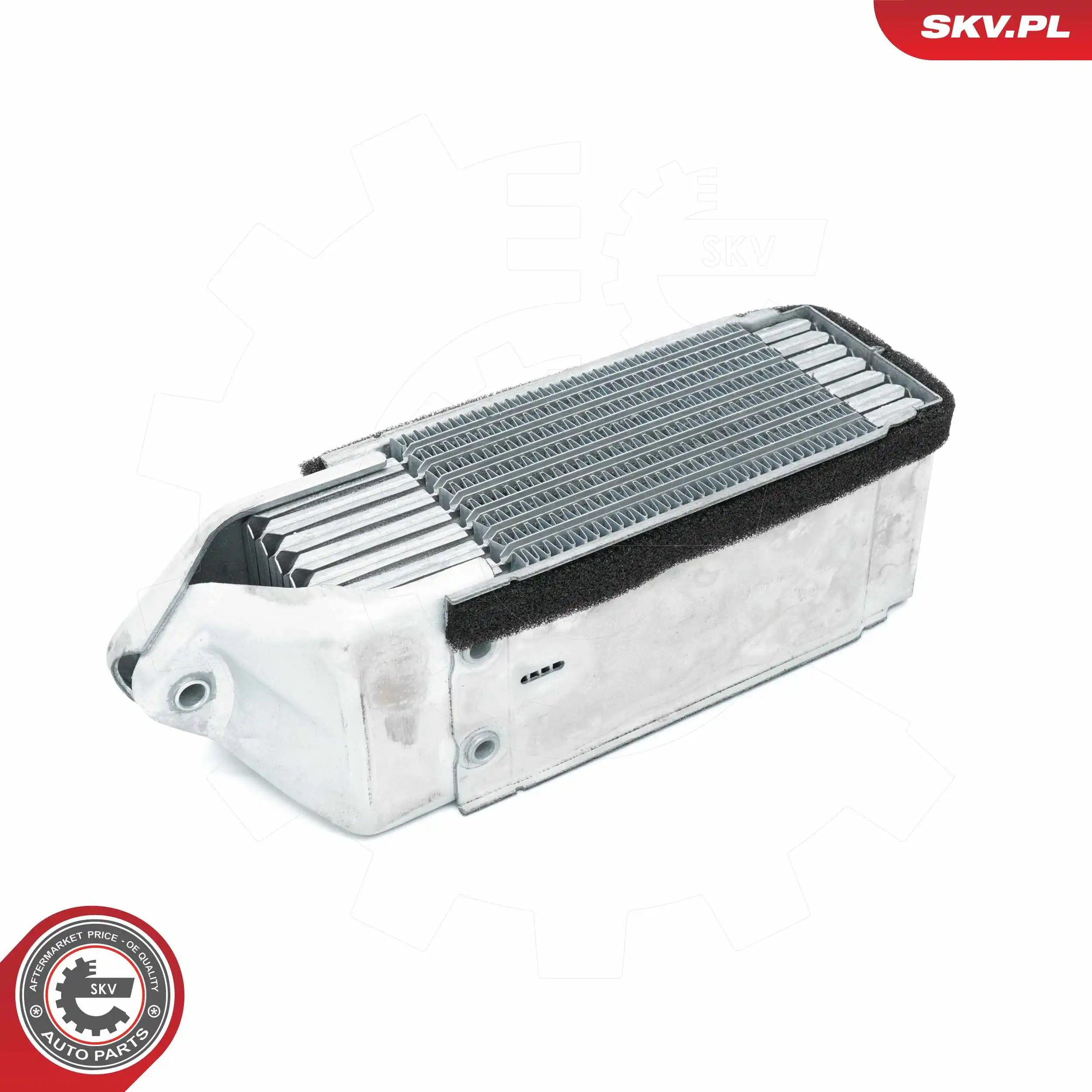 Oil Cooler, engine oil 31SKV210