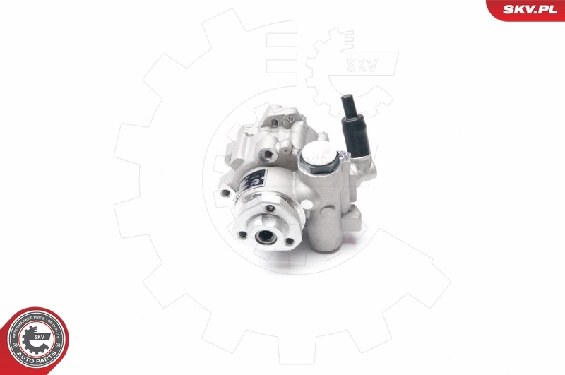 Hydraulic Pump, steering 10SKV016