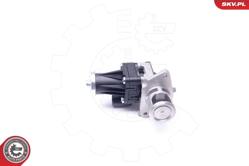 EGR Valve 14SKV159