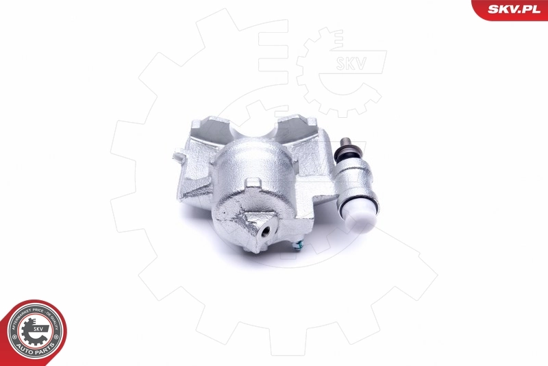 Brake Caliper 46SKV301