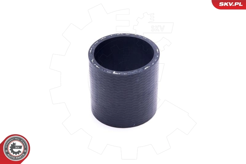 Charge Air Hose 54SKV109