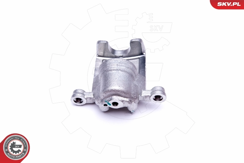 Brake Caliper 45SKV794