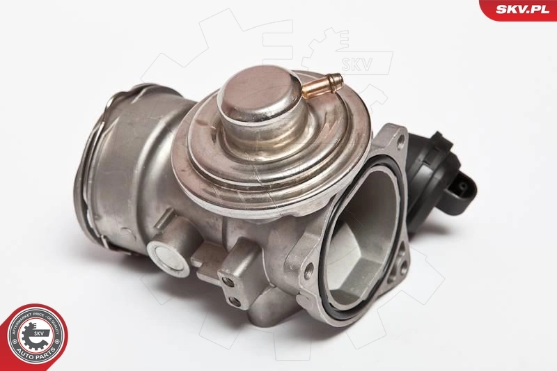 EGR Valve 14SKV024