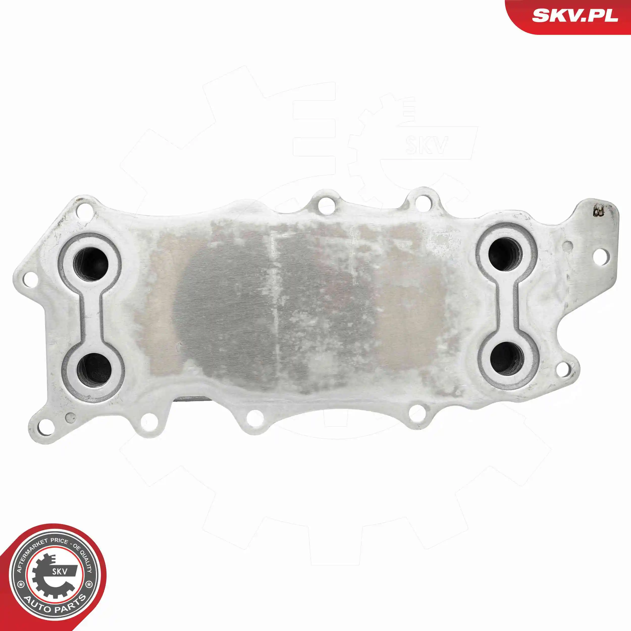 Oil Cooler, engine oil 31SKV325