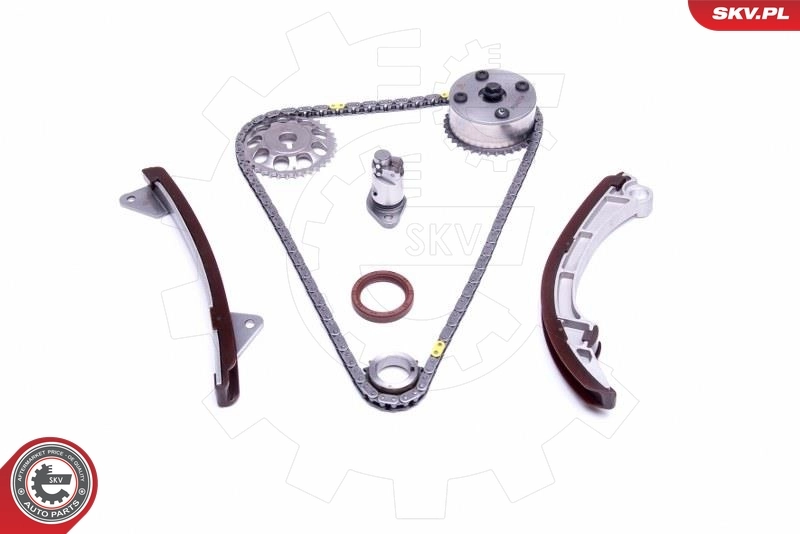 Timing Chain Kit 21SKV215