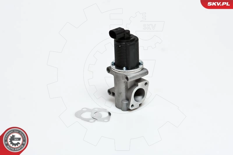 EGR Valve 14SKV006