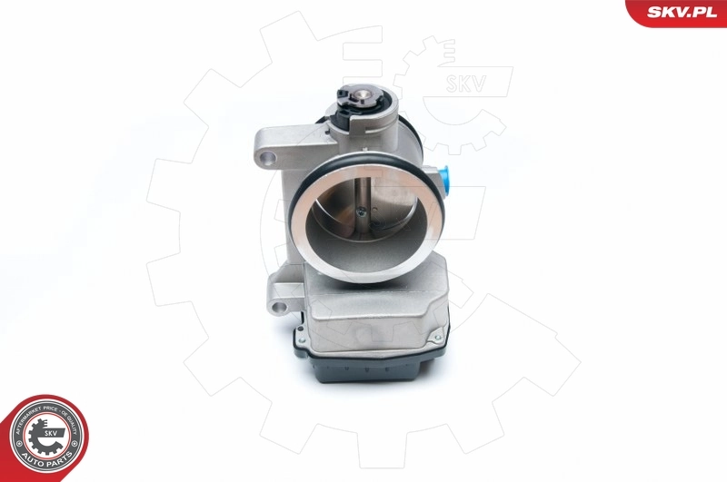 Throttle Body 12SKV051