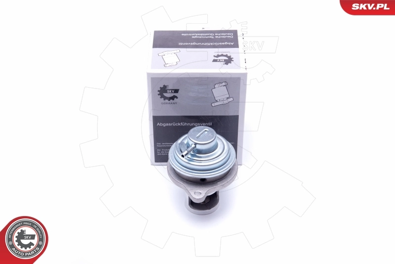 EGR Valve 14SKV182