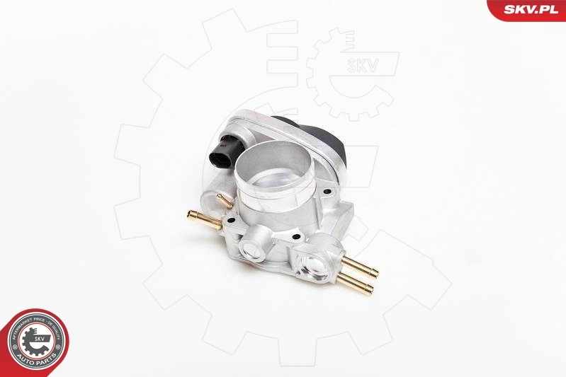 Throttle Body 12SKV037