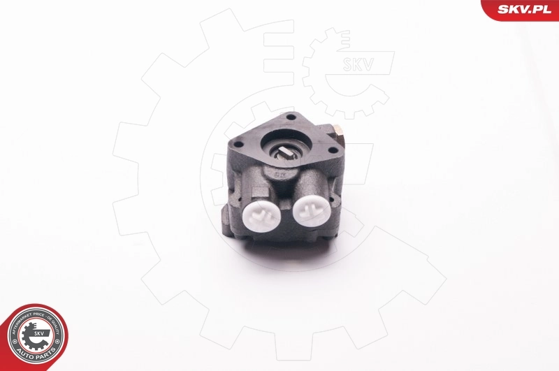 ESEN SKV 1SKV0009 Hydraulic Pump, steering