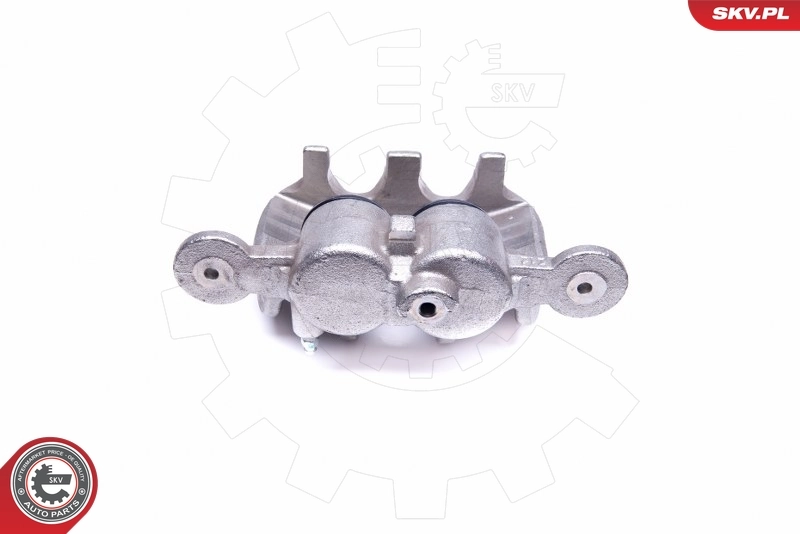 Brake Caliper 45SKV551