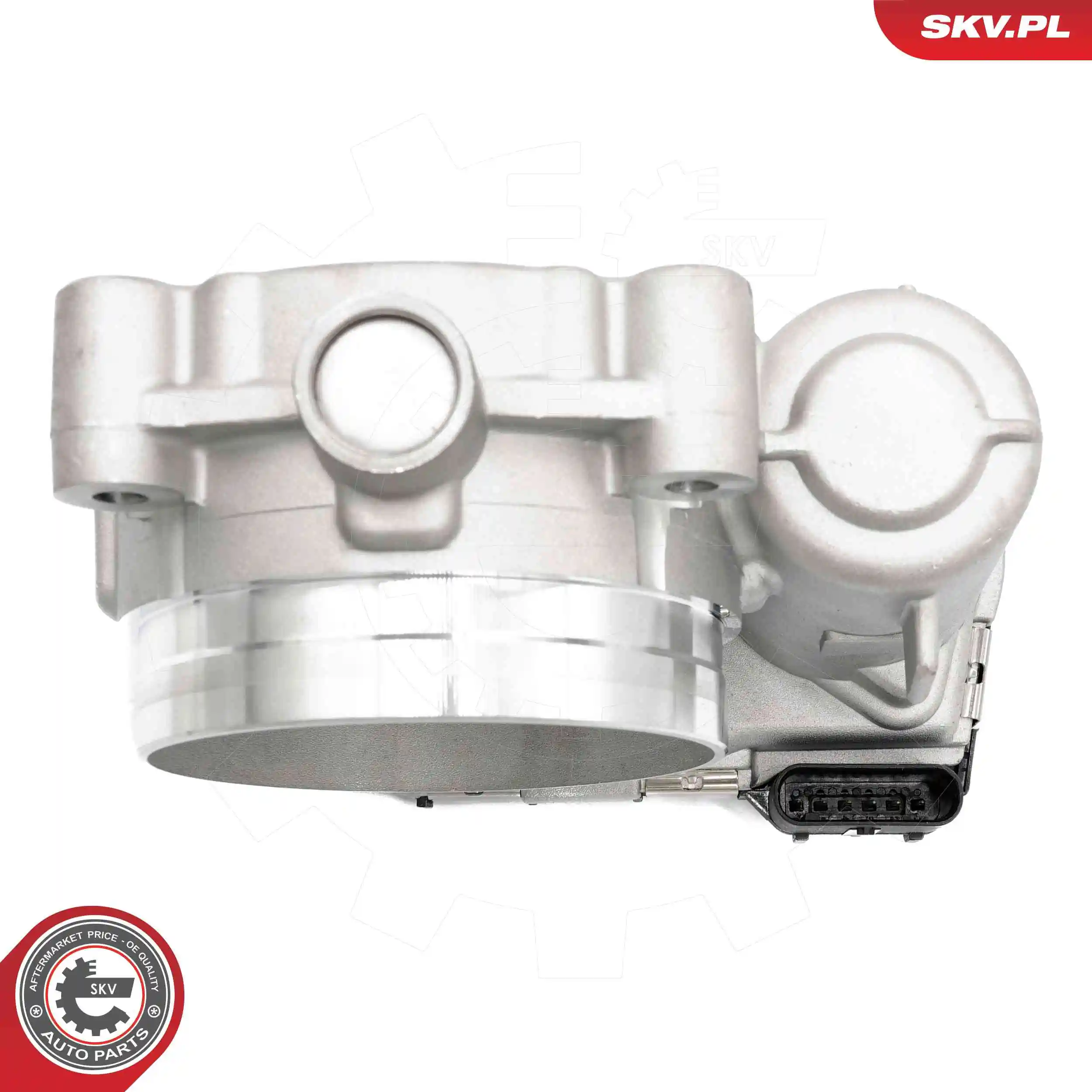 Throttle Body 12SKV129