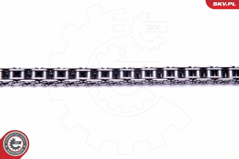 Timing Chain Kit 21SKV118