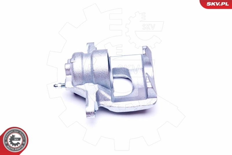 Brake Caliper 44SKV001