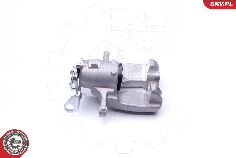 Brake Caliper 42SKV068