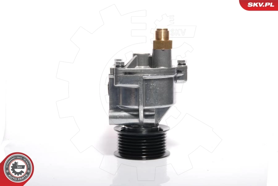 Vacuum Pump, braking system 18SKV002