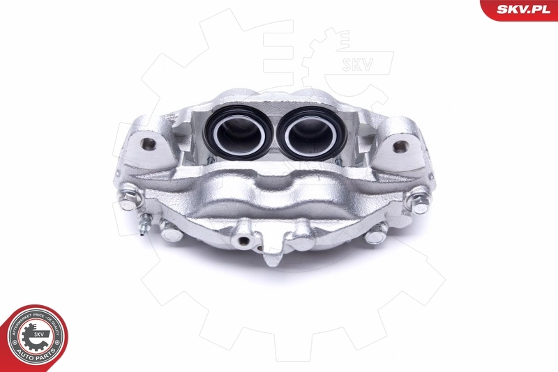 Brake Caliper 46SKV711
