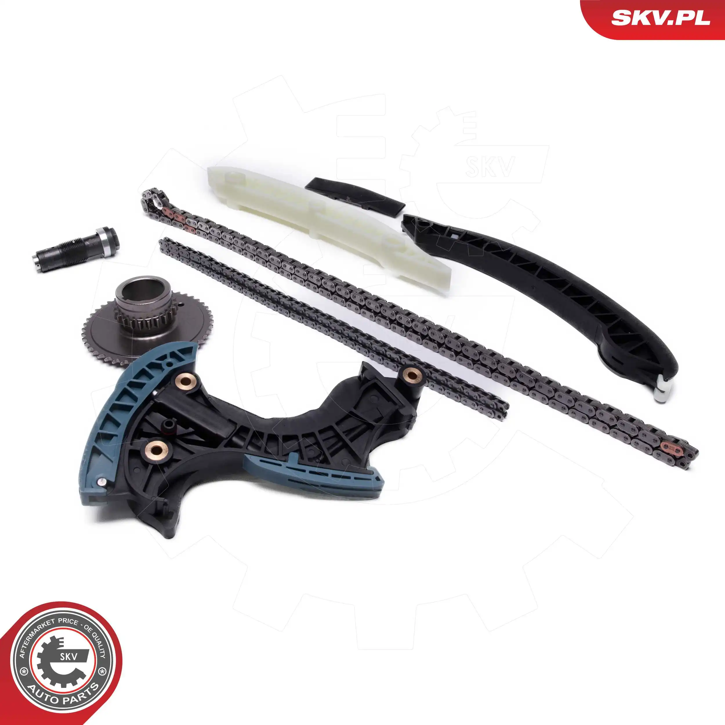 Timing Chain Kit 21SKV267